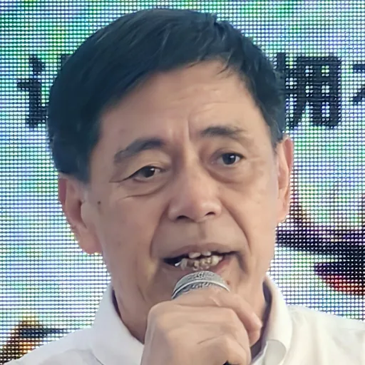 Portrait of Shen Shixi