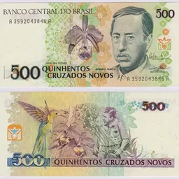 Portrait of Augusto Ruschi