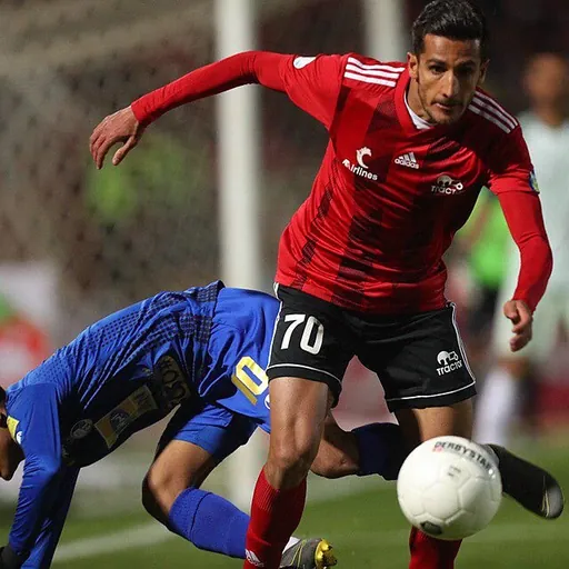 Portrait of Mehdi Tikdari
