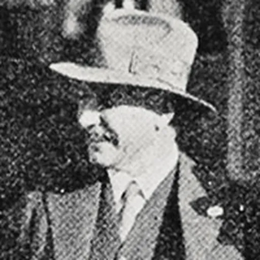Portrait of William Walter Mulholland