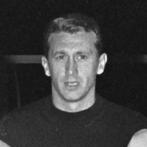 Portrait of Mihai Ionescu