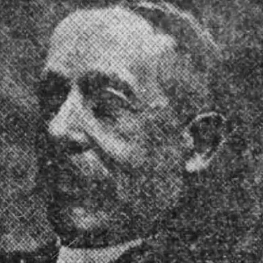 Portrait of John Jardine