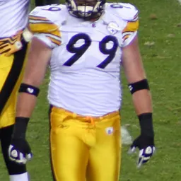 Portrait of Brett Keisel