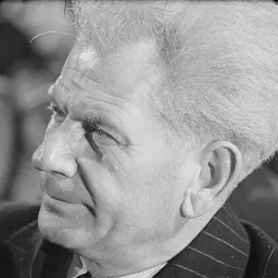 Portrait of Hermann Matern