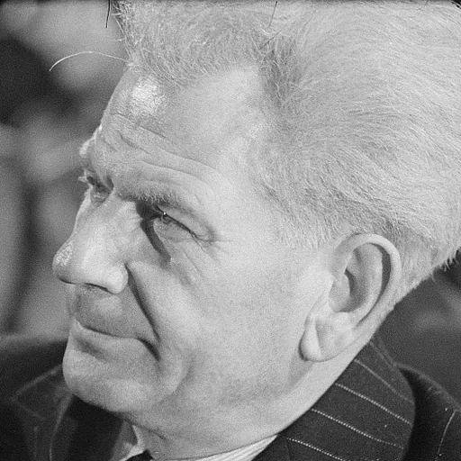 Portrait of Hermann Matern