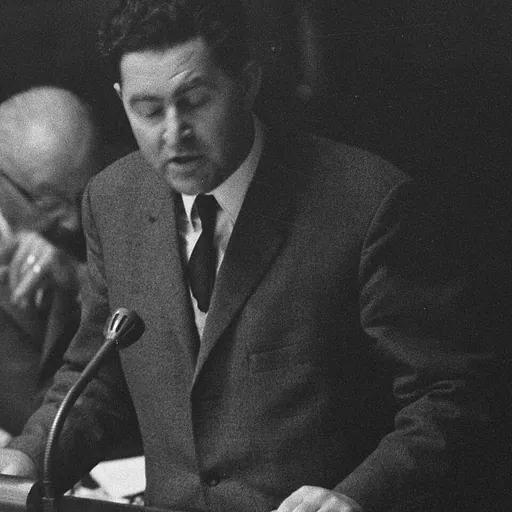 Portrait of Kees IJmkers