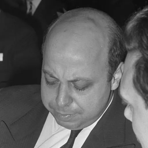 Portrait of Pierre Hassner