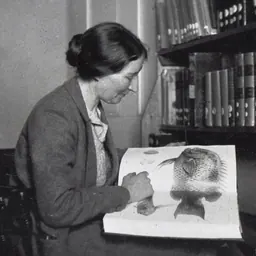 Portrait of Dorothy Thursby-Pelham
