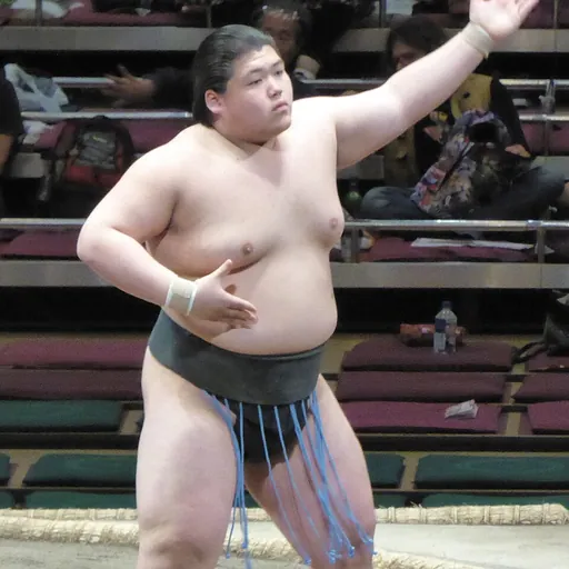 Portrait of Naya Konosuke
