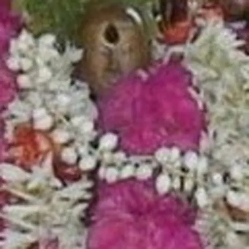 Portrait of Murkha Nayanar