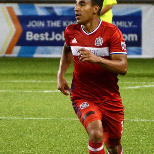 Portrait of Brandon Vincent