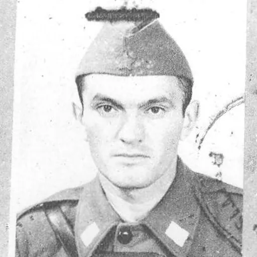 Portrait of Vladimir Dedijer