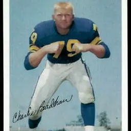 Portrait of Charlie Bradshaw