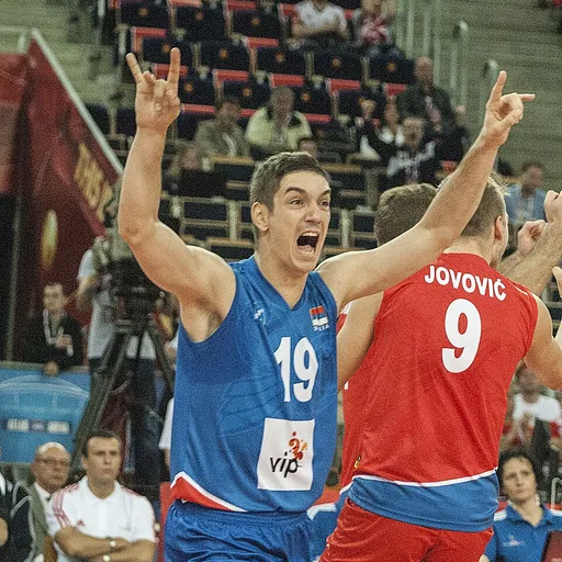 Portrait of Nikola Rosić