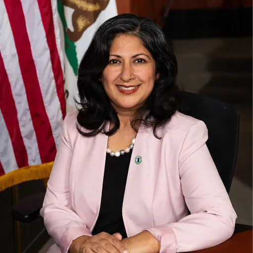 Portrait of Farrah N. Khan
