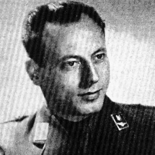 Portrait of Ante Vokić