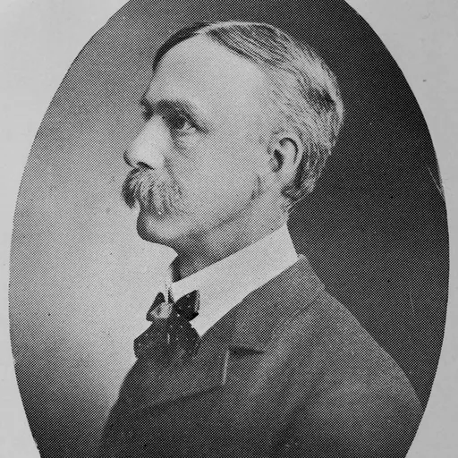 Portrait of Publius Virgilius Lawson