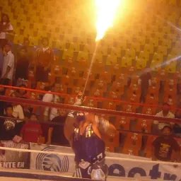 Portrait of Abismo Negro