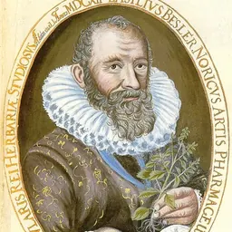 Portrait of Basilius Besler