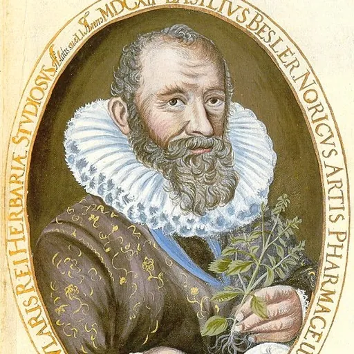 Portrait of Basilius Besler