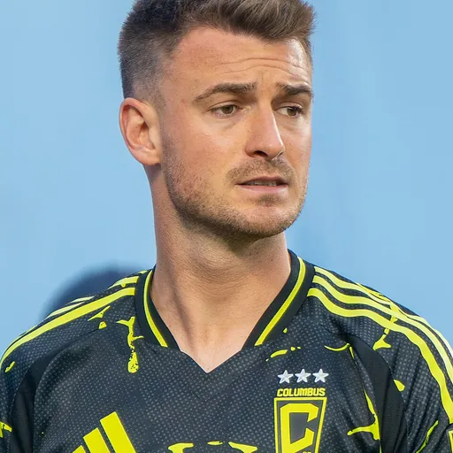 Portrait of Amar Sejdić
