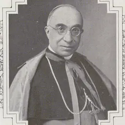 Portrait of Luigi Capotosti