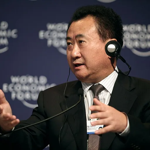 Portrait of Wang Jianlin