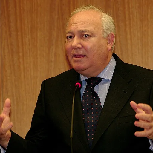Portrait of Miguel Ángel Moratinos