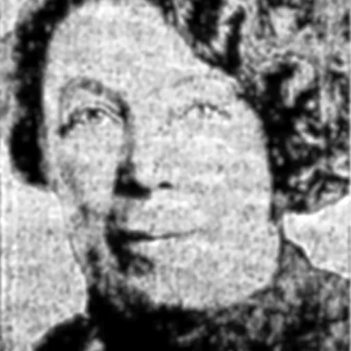 Portrait of Manche Irene Langley