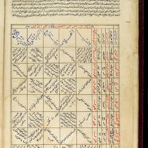 Portrait of Ibn Jazla