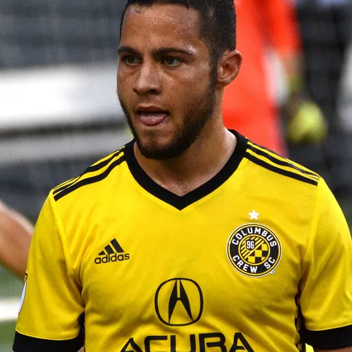 Portrait of Niko Hansen