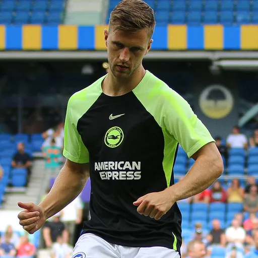 Portrait of Joël Veltman