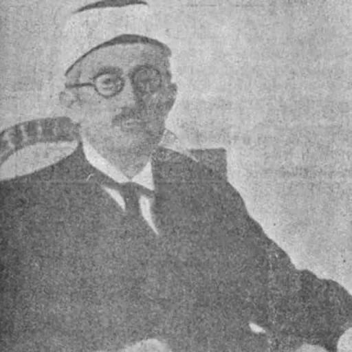 Portrait of Ismet Muftić