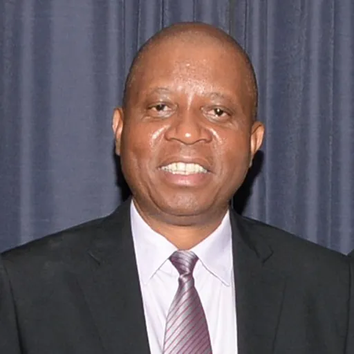 Portrait of Herman Mashaba