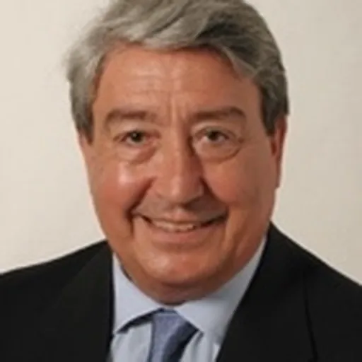 Portrait of Lucio Stanca