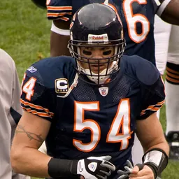 Portrait of Brian Urlacher