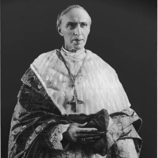 Portrait of Désiré Mercier