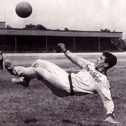 Portrait of Nedim Doğan