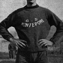 Portrait of Franco Sar