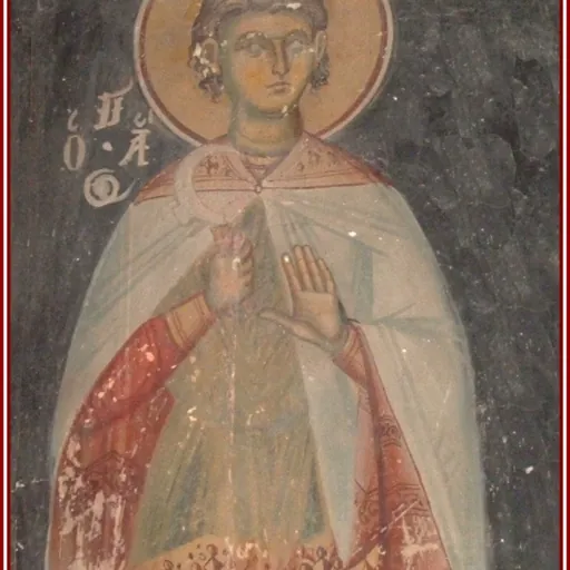 Portrait of David Selenica