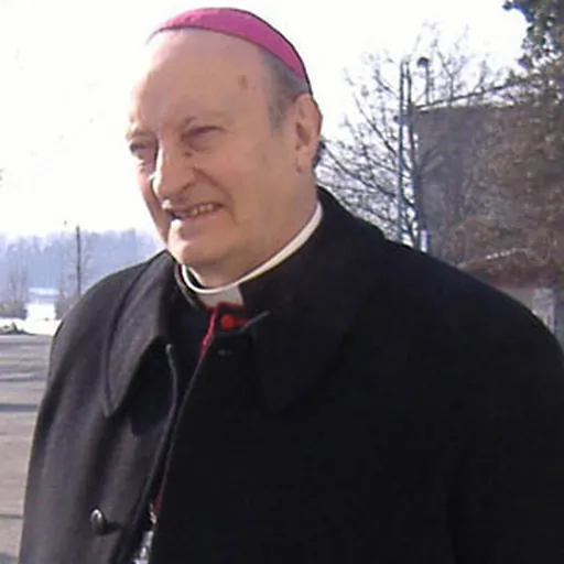 Portrait of Giuseppe Merisi