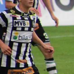 Portrait of Erik Andersson