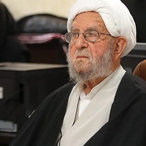 Portrait of Ebrahim Amini