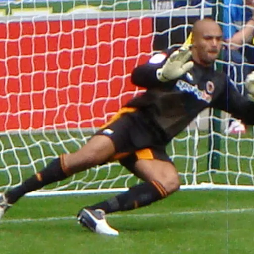 Portrait of Carl Ikeme