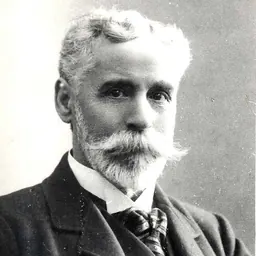 Portrait of Dimitrie Comșa