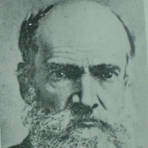 Portrait of Diego Barros Arana