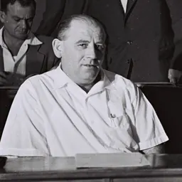 Portrait of Joseph Almogi