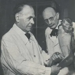 Portrait of Constantin Ionescu-Mihăești