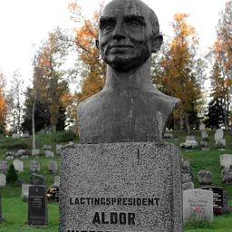 Portrait of Aldor Ingebrigtsen