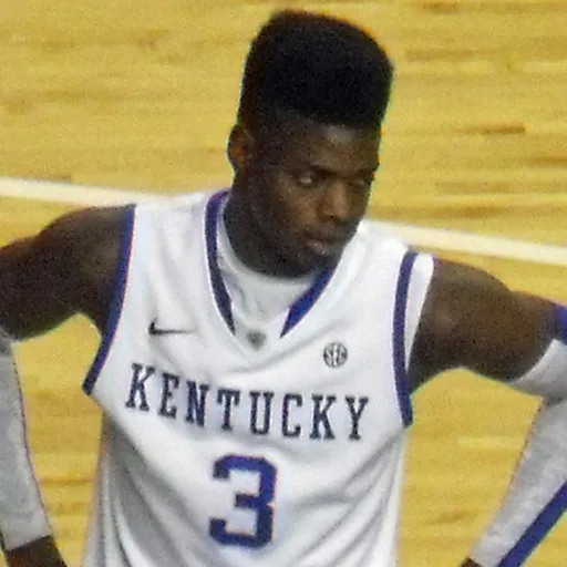 Portrait of Nerlens Noel